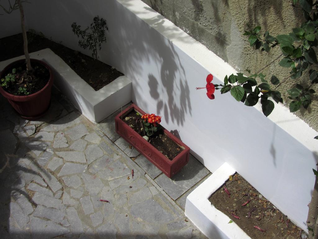 Petra Hotel Agia Galini Eksteriør billede